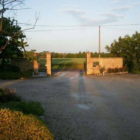 Agriturismo La Cascinetta Pieve di Cento Eksteriør billede