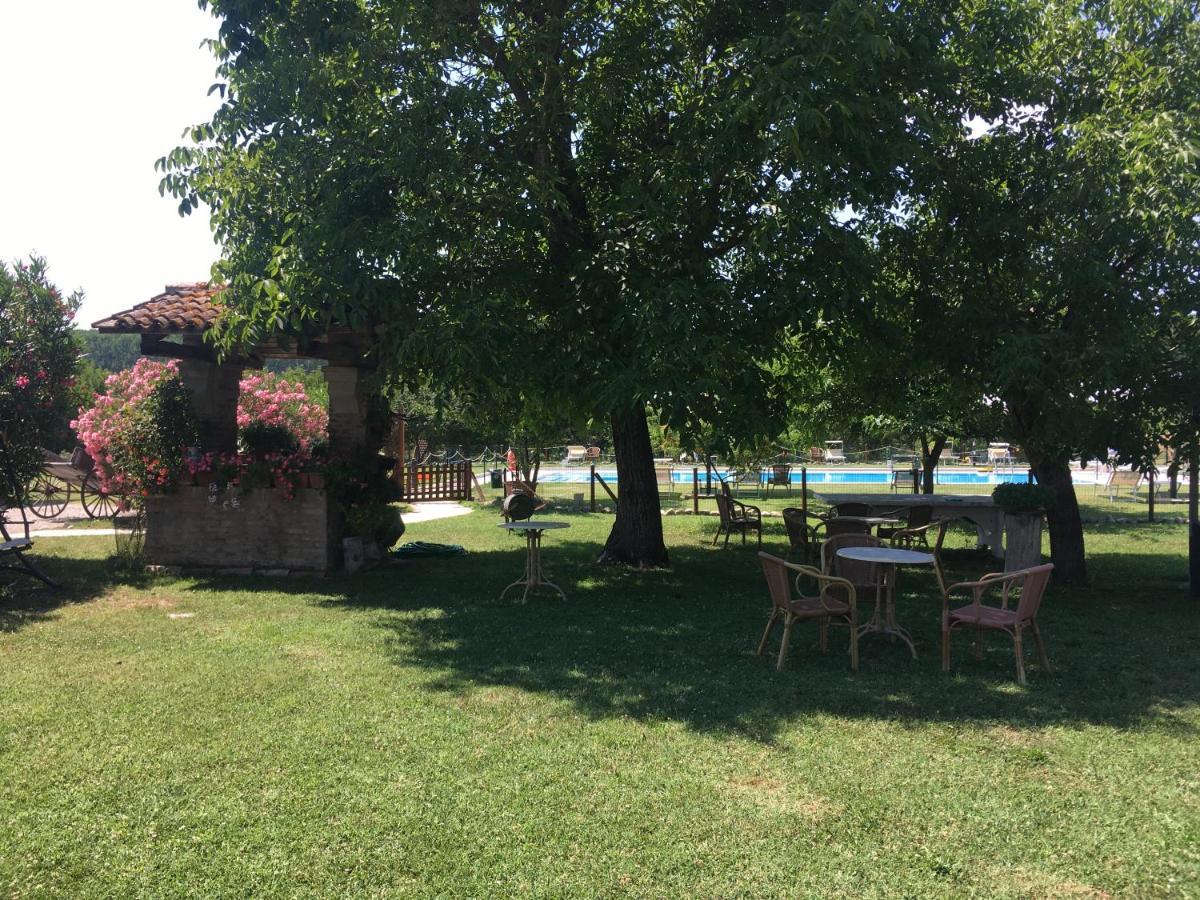 Agriturismo La Cascinetta Pensionat Pieve di Cento Eksteriør billede